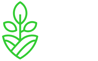 zingira